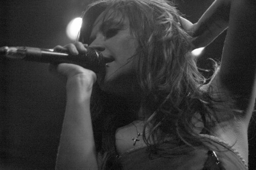 Flyleaf photo