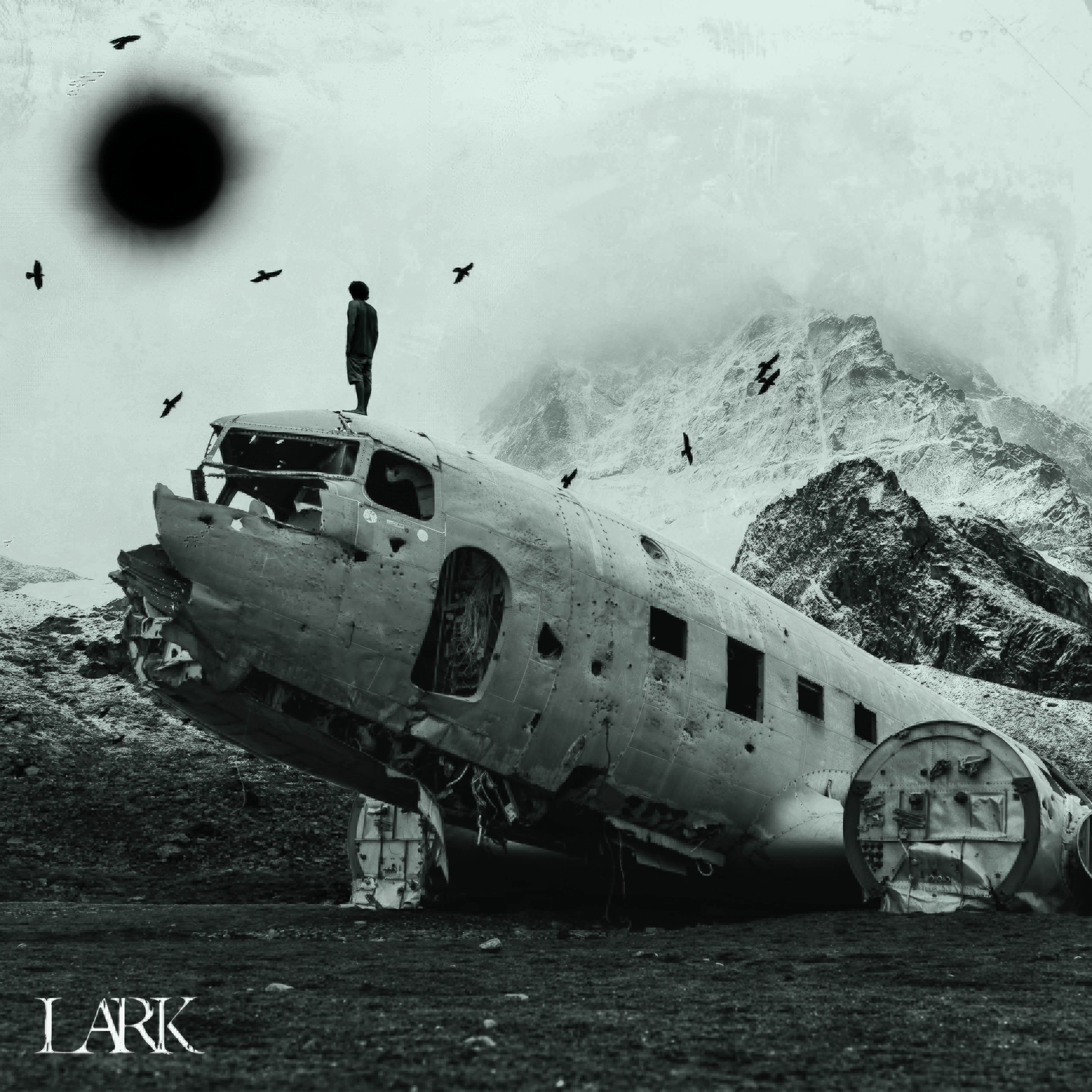 Lark