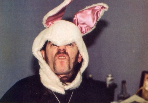 Lemmy Bunny