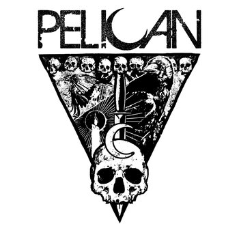 PELICAN2