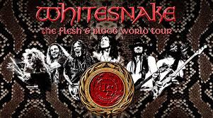 Whitesnake2