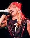 Bret Michaels (2008)